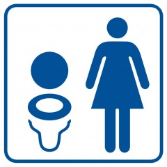 Ladies Toilet 2