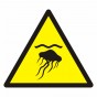 Warning; Jellyfish
